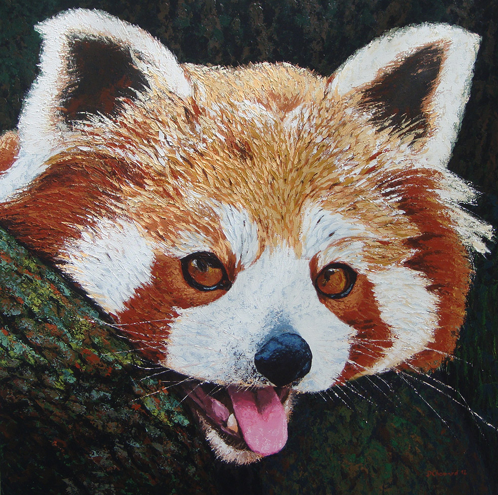 Red Panda